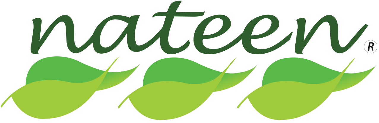Nateen logo